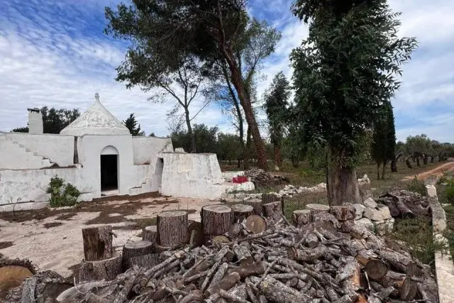 Country house or cottage in Contrada Falgheri, Ostuni - Photo 1