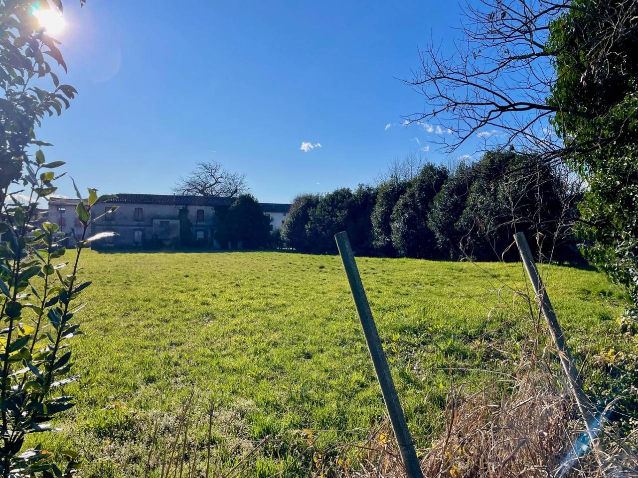 immagine annuncio 1 di 13