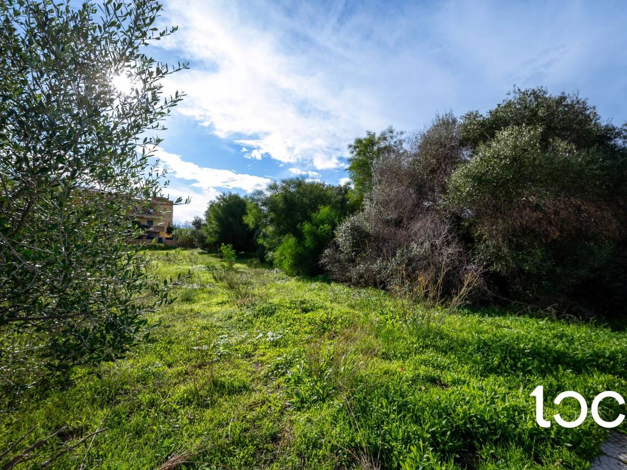 immagine annuncio 5 di 7