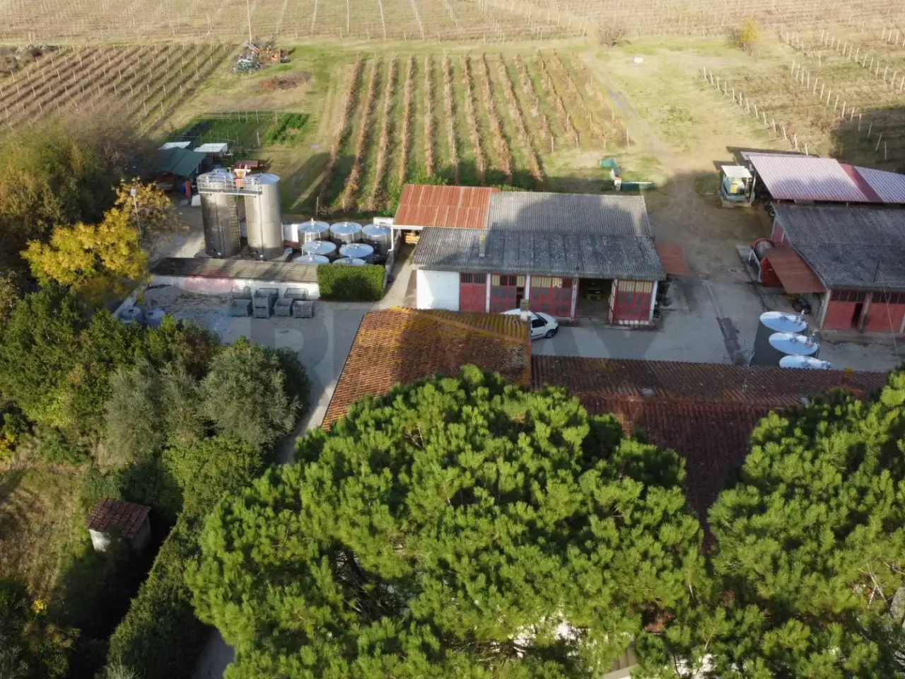 Azienda agricola in Via Senese Romana 369, Empoli, {3} - Foto 2