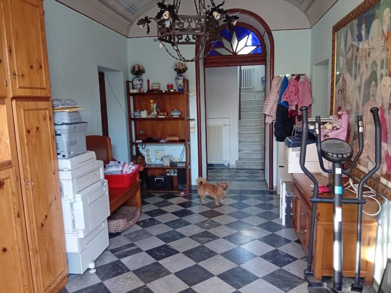 immagine annuncio 3 di 11