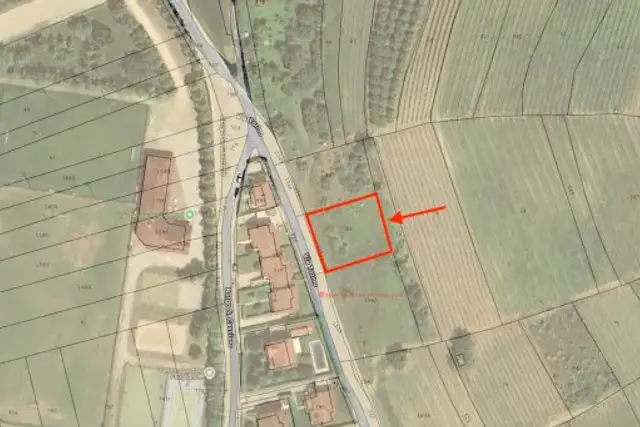 insertion image