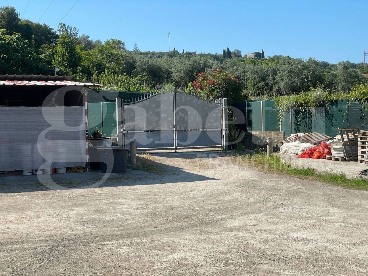 immagine annuncio 11 di 12