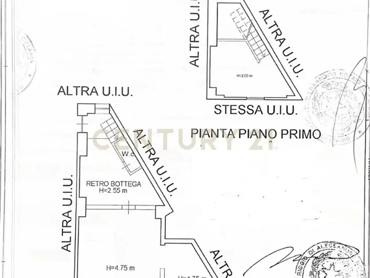 Gelateria in Via Plebiscito  184, Catania, {3} - Planimetria 1