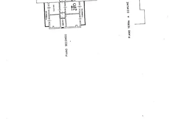 insertion image