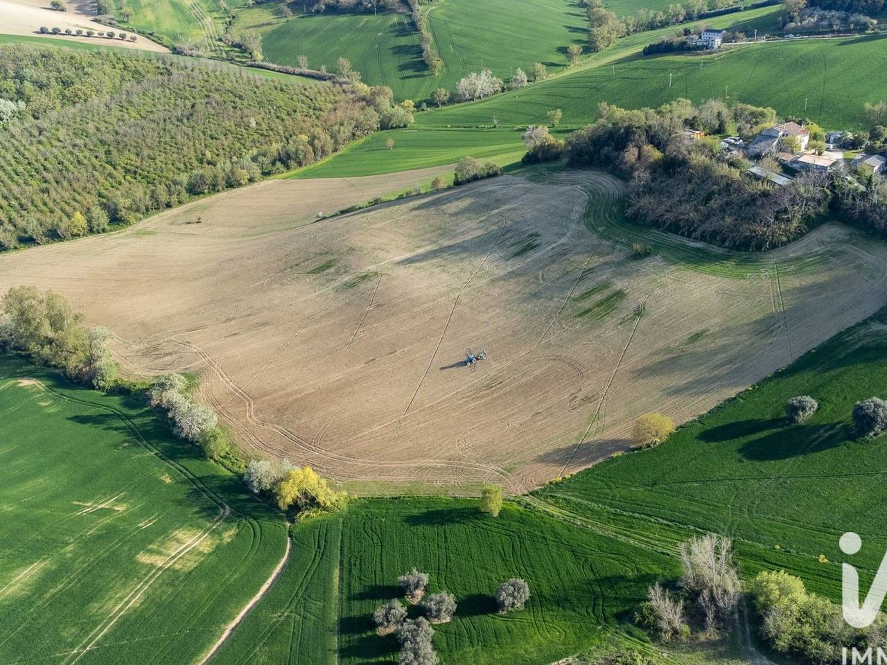 immagine annuncio 8 di 14