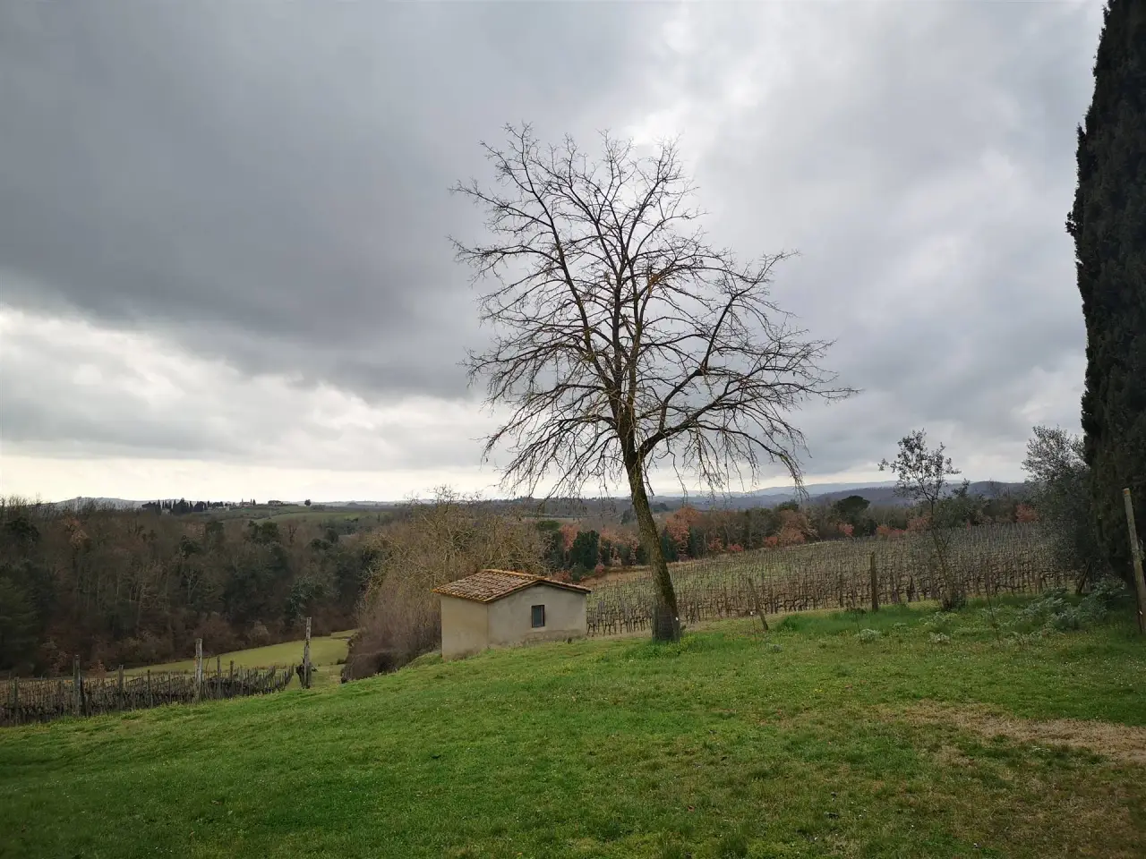 Azienda agricola in , Castelnuovo Berardenga, {3} - Foto 2
