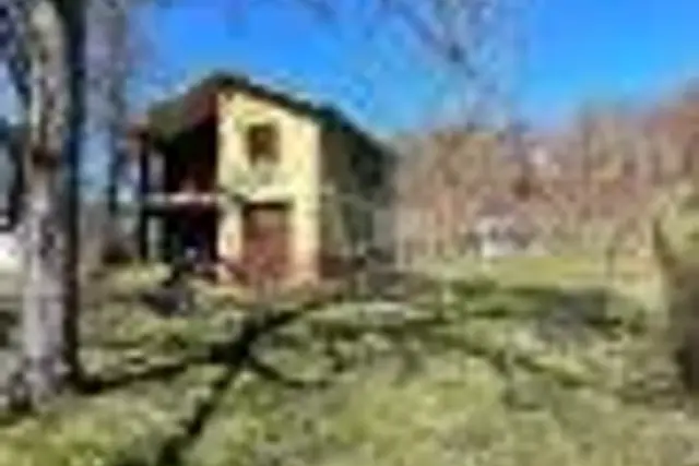 insertion image