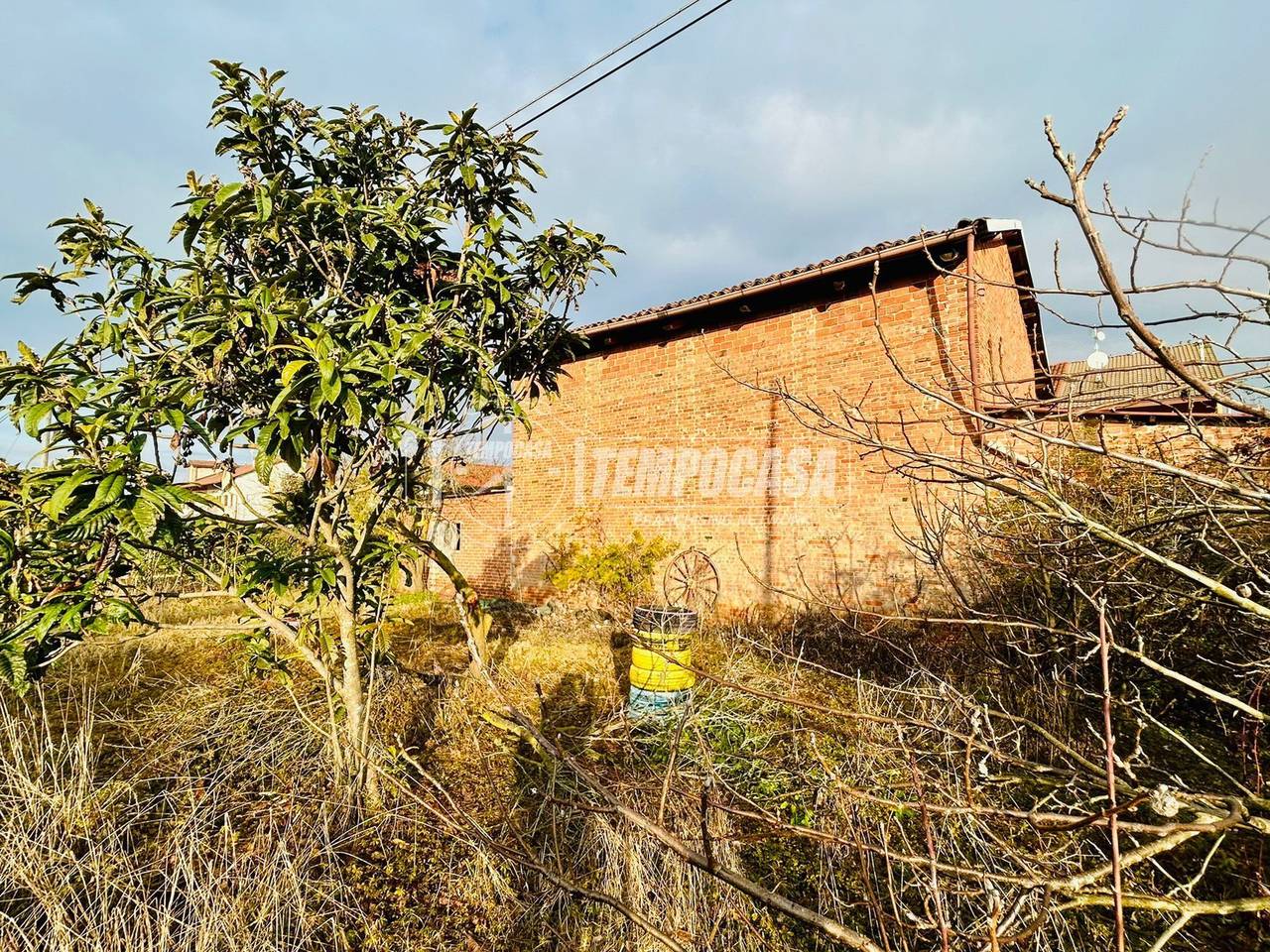 immagine annuncio 4 di 8