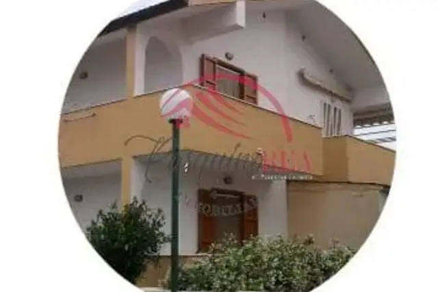insertion image