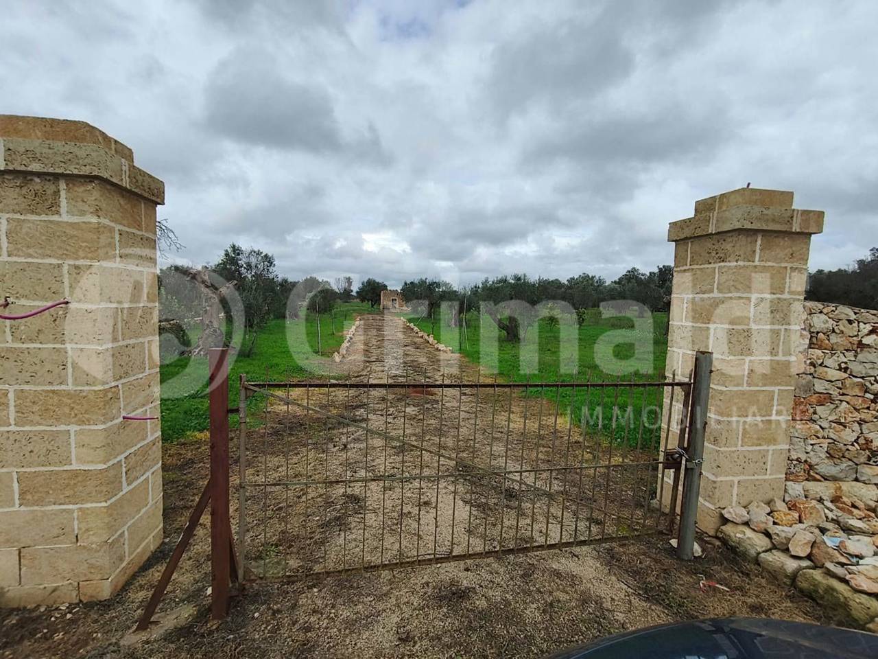 immagine annuncio 1 di 9