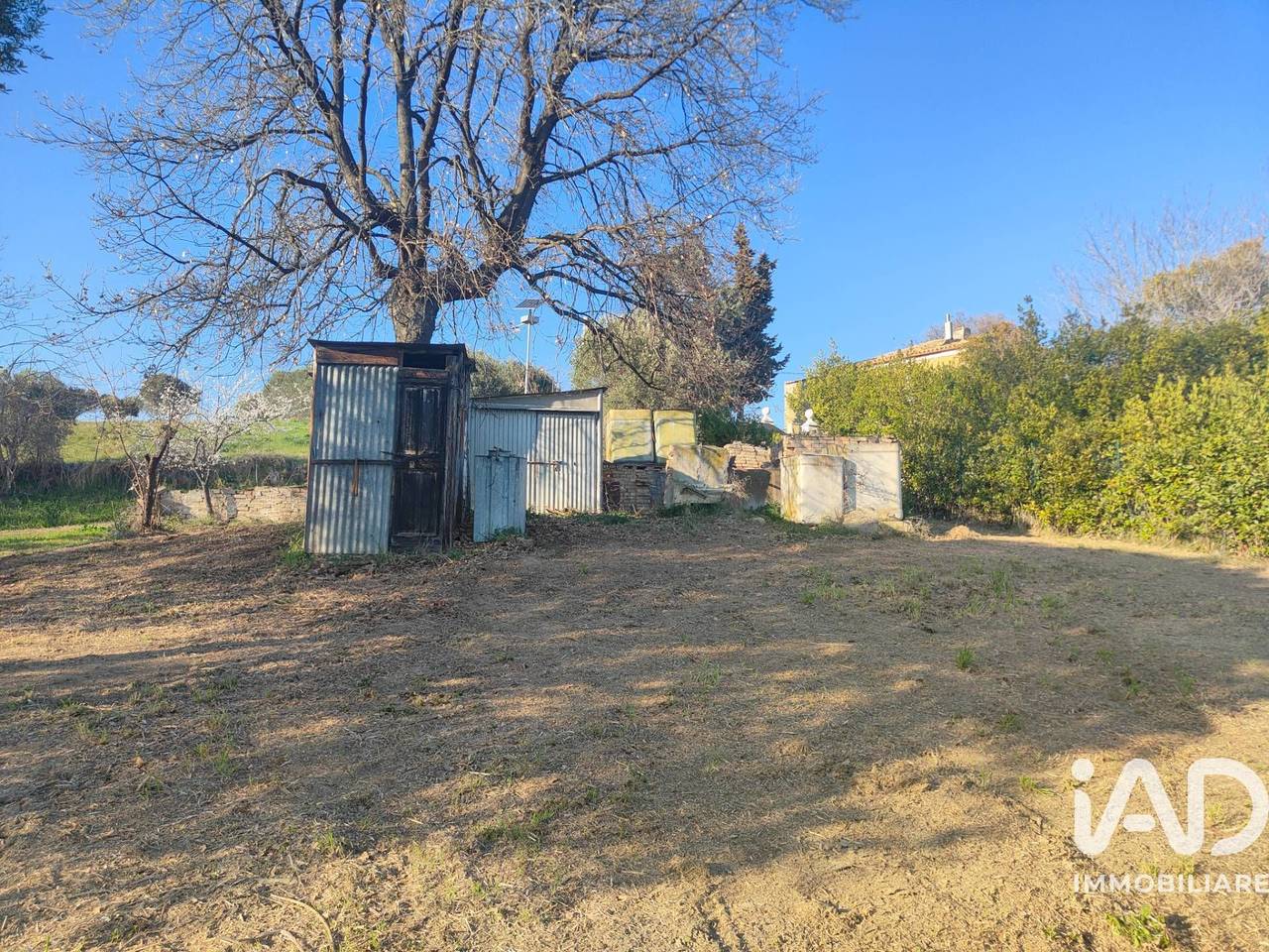 immagine annuncio 5 di 7