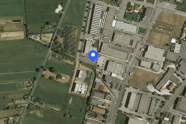 insertion image