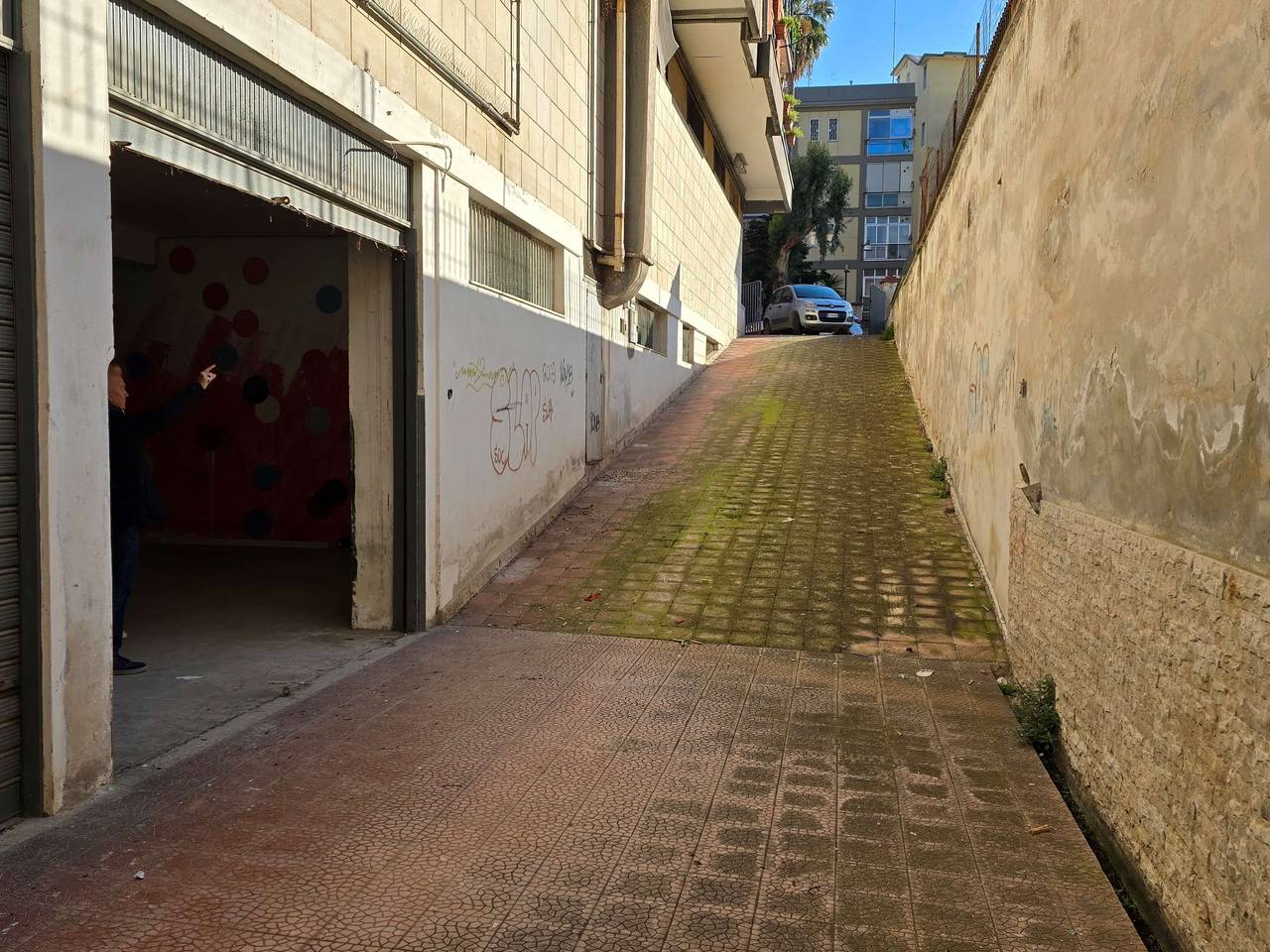 immagine annuncio 2 di 4