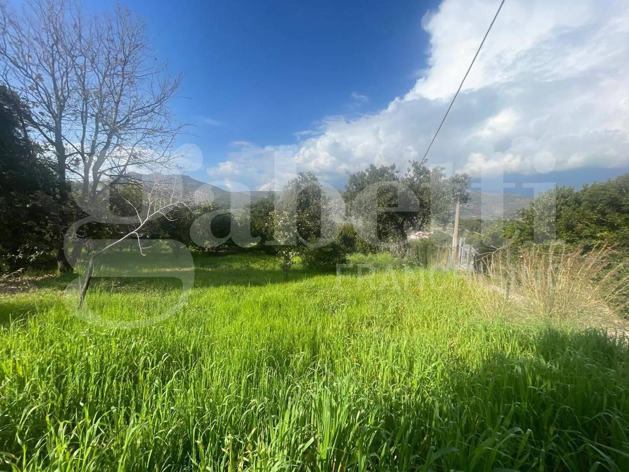 immagine annuncio 9 di 12