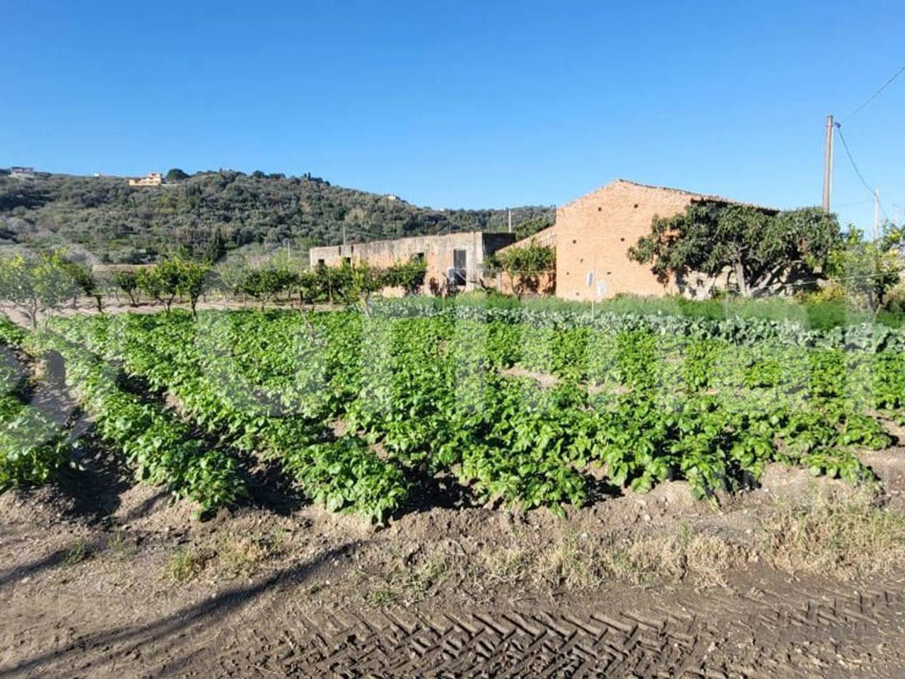 immagine annuncio 5 di 7