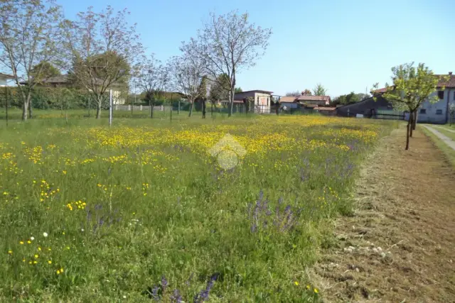 Baugrundstück in Via General Caviglia, Vedelago - Foto 1