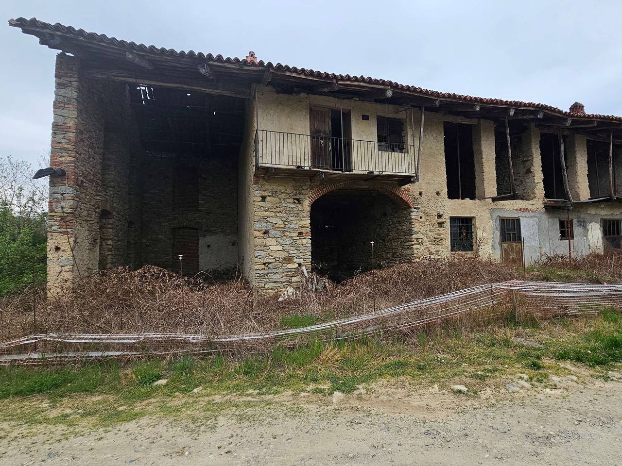 immagine annuncio 14 di 15