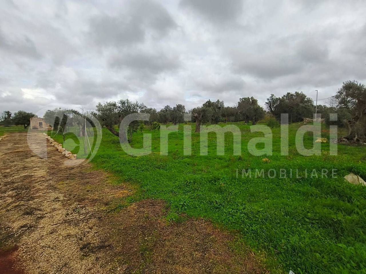 immagine annuncio 6 di 9