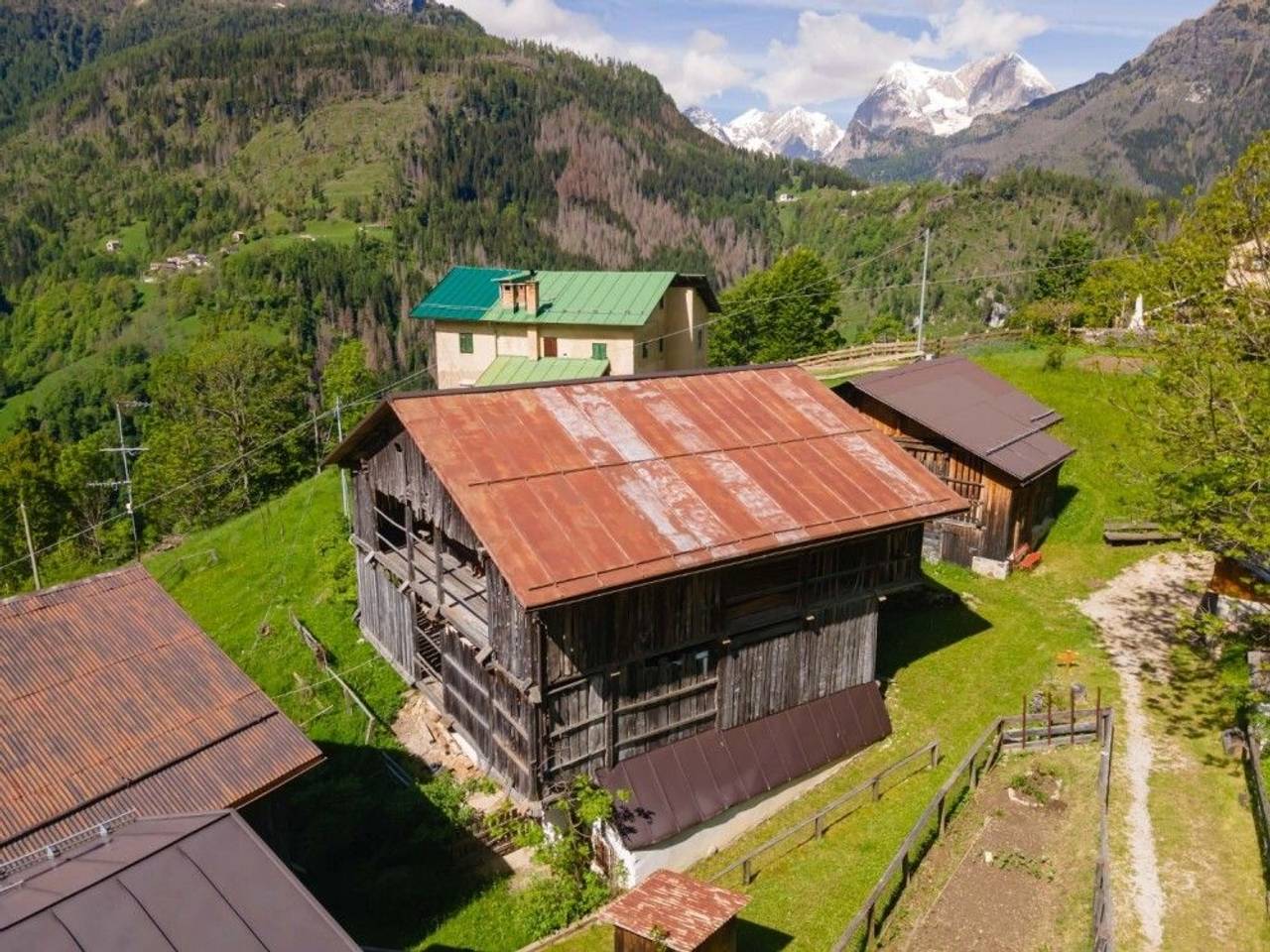 immagine annuncio 7 di 11