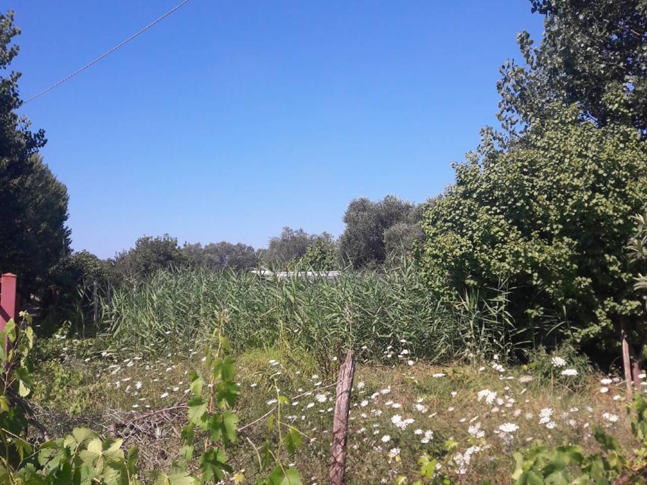 immagine annuncio 5 di 7