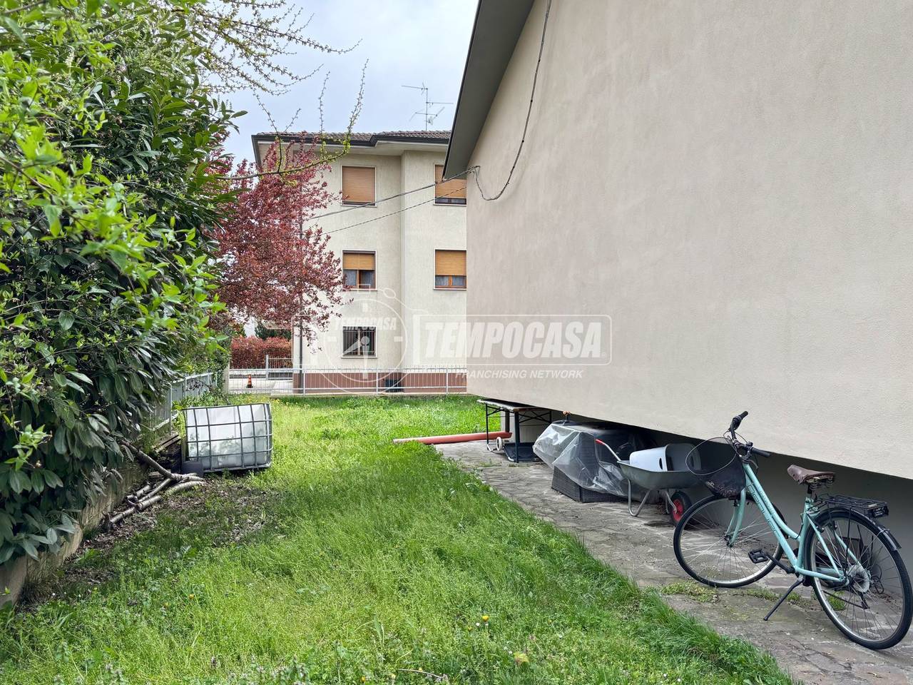 immagine annuncio 12 di 14