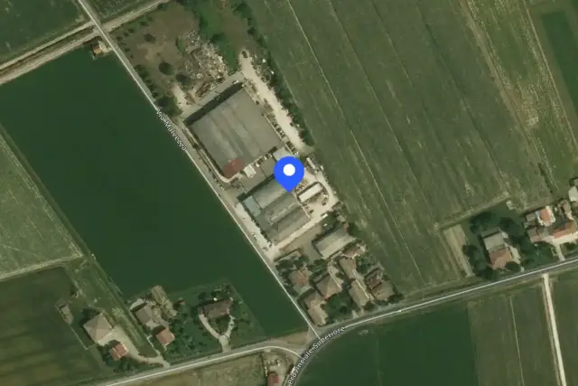 insertion image