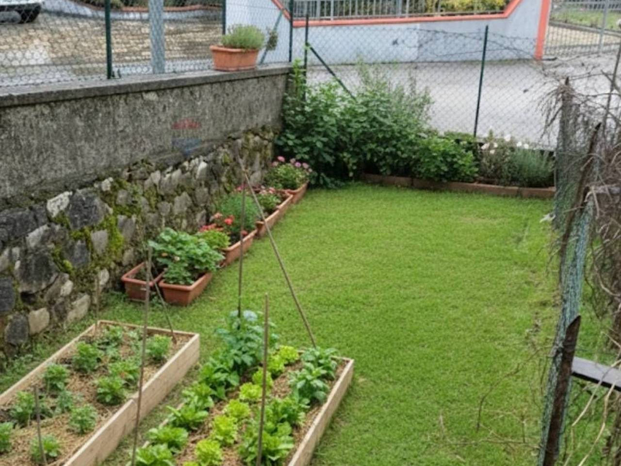 immagine annuncio 4 di 8