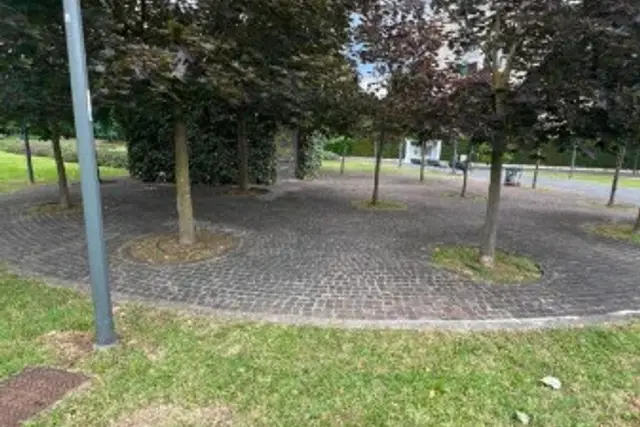insertion image