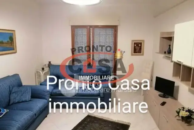 insertion image