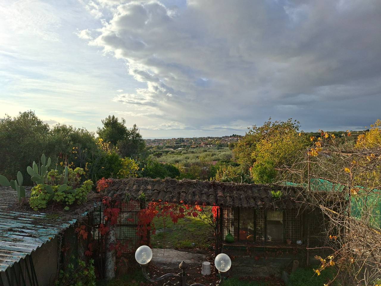 immagine annuncio 8 di 11