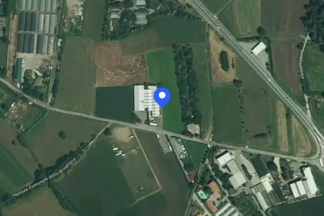 insertion image