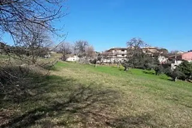 insertion image