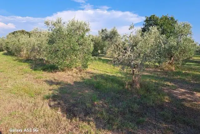 Terreno agricolo in {3}, Via Cason Vecchio - Foto 1