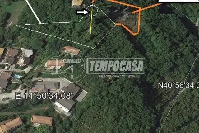 insertion image