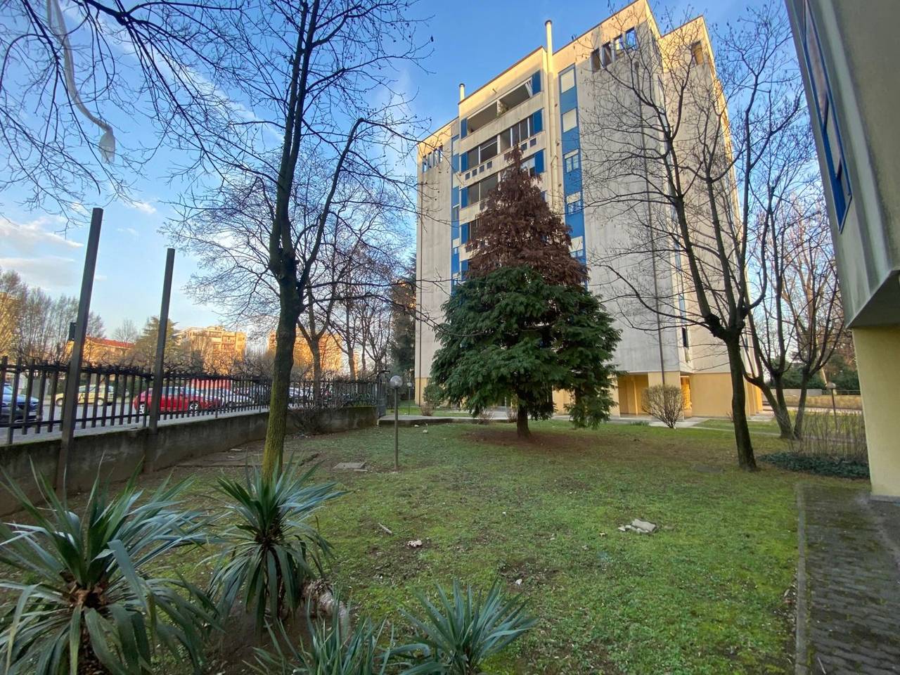 immagine annuncio 1 di 15