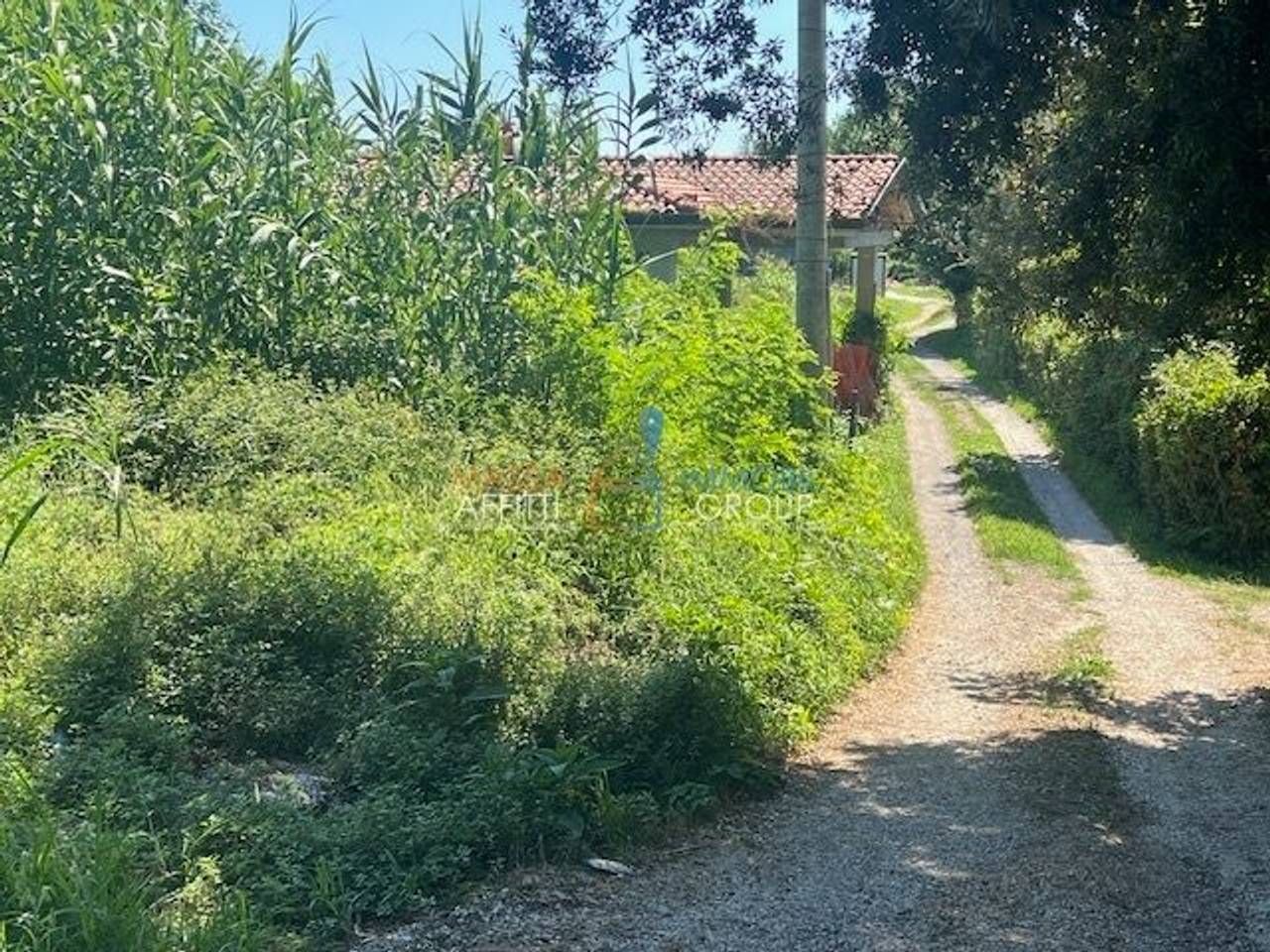 immagine annuncio 8 di 9