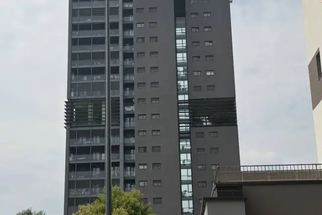 insertion image