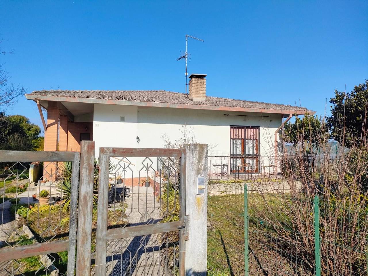 immagine annuncio 1 di 11