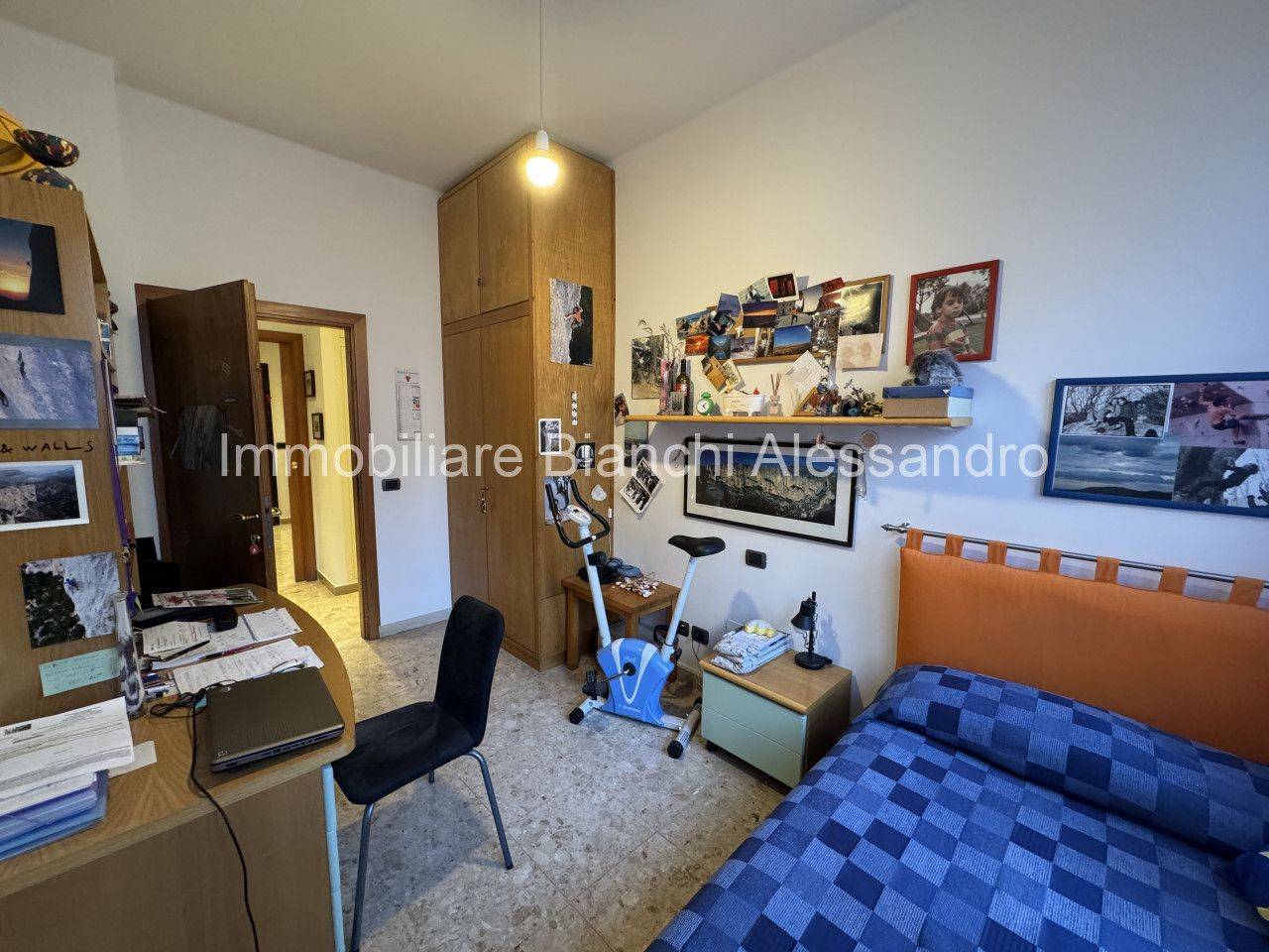 immagine annuncio 11 di 14