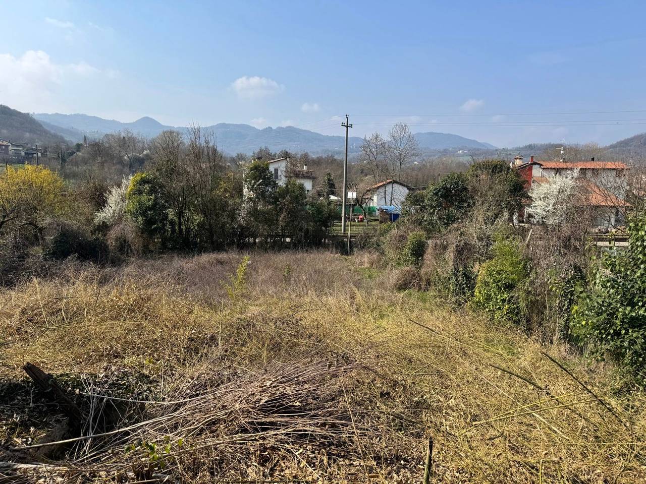 immagine annuncio 8 di 9