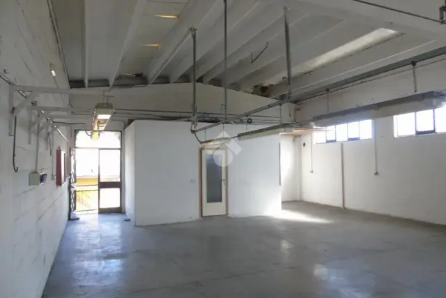 insertion image