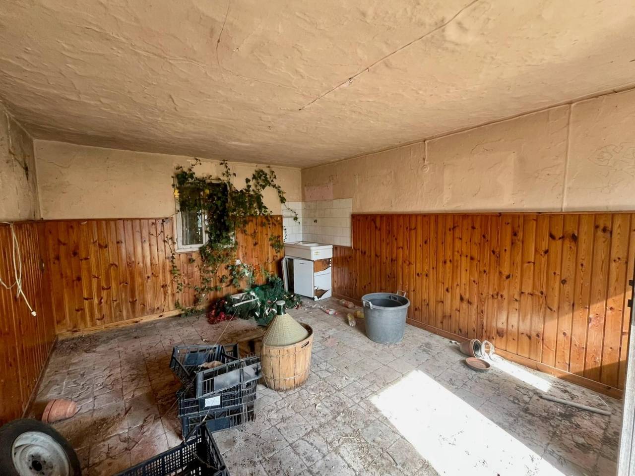 immagine annuncio 5 di 7