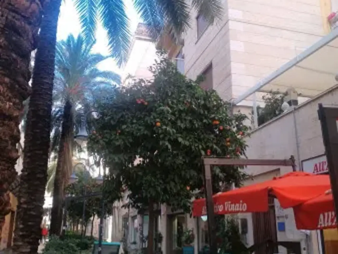 Negozio in Via Generale Vincenzo Magliocco 24, Palermo, {3} - Foto 2