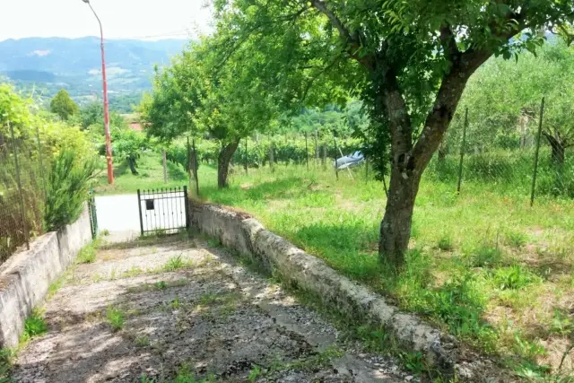 insertion image