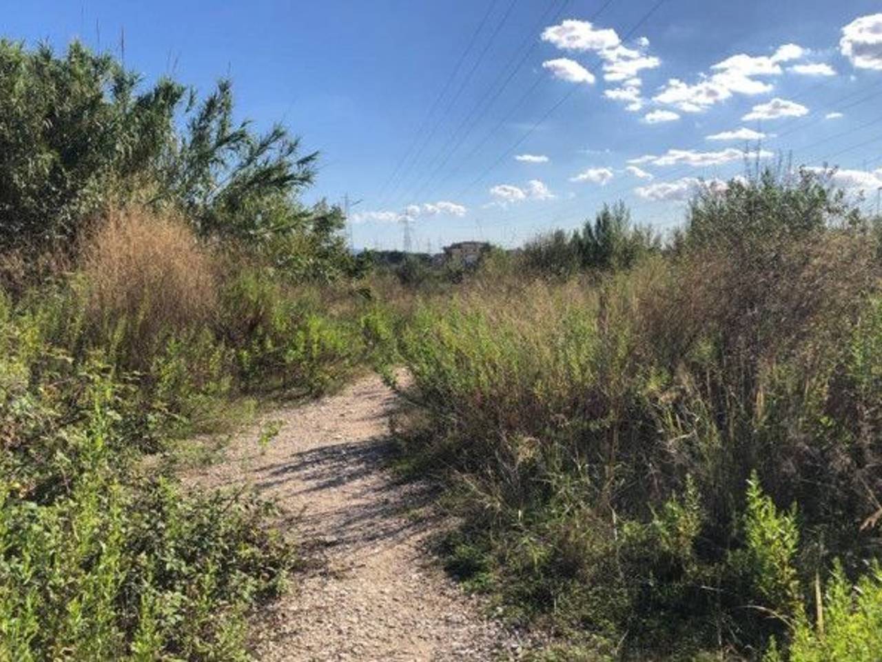 immagine annuncio 1 di 6