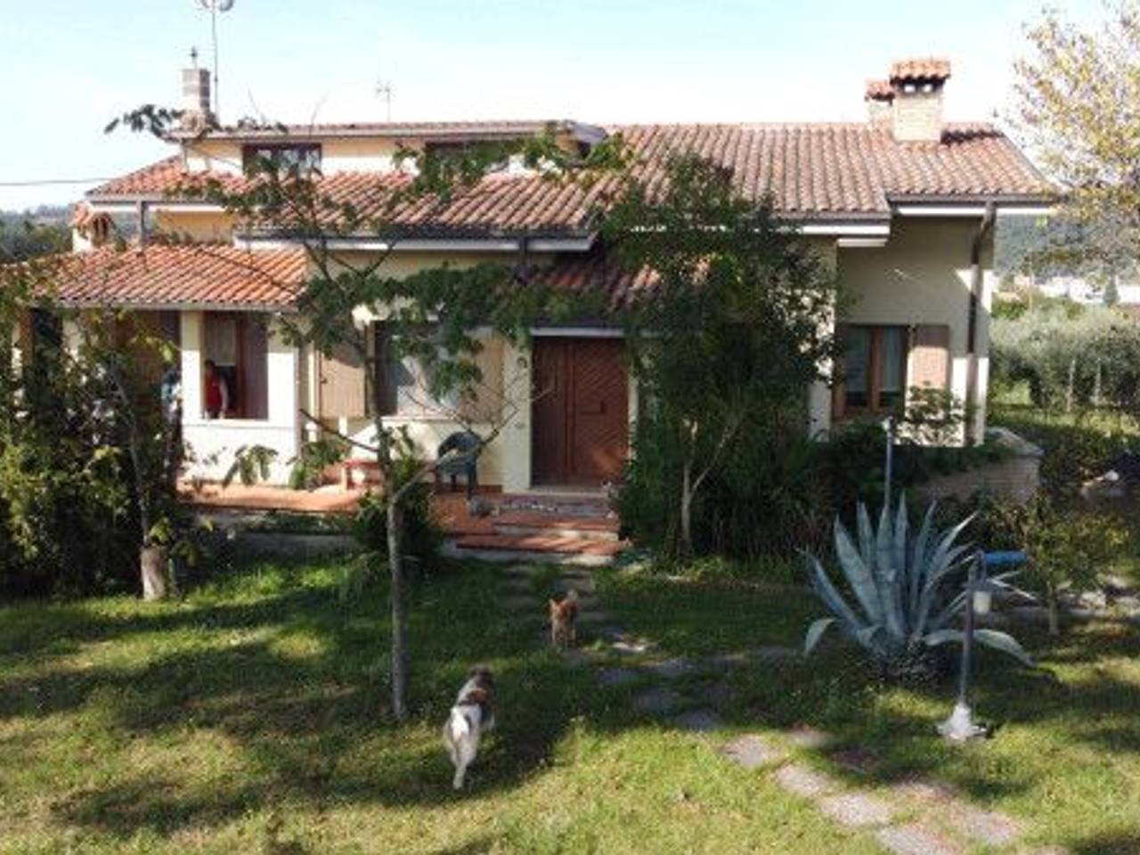 immagine annuncio 5 di 15