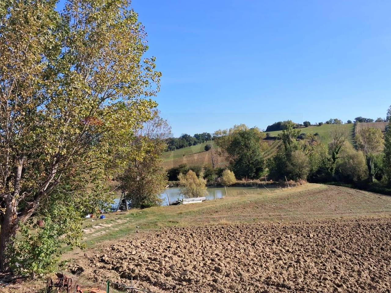 immagine annuncio 12 di 13