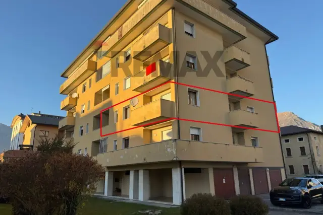 insertion image
