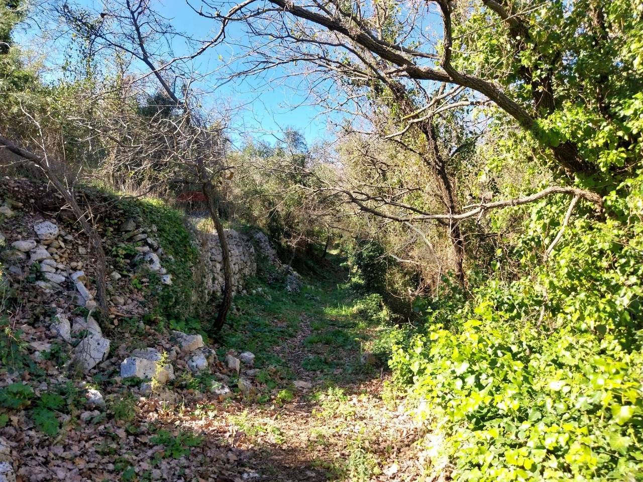 immagine annuncio 5 di 14